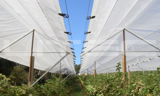 Rede durável contra granizo feita com 100% de material HDPE virgem, proporcionando proteção contra danos causados por granizo para jardins e macieiras