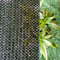 Anti rede uv verde da máscara de Sun do HDPE para plantas de jardim da casa do balcão