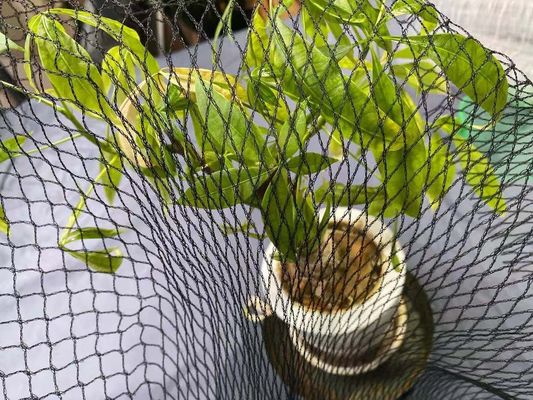 A anti garça-real Koi Fish Pond Net Protection da associação cobre o Hdpe de 15ft x de 20ft