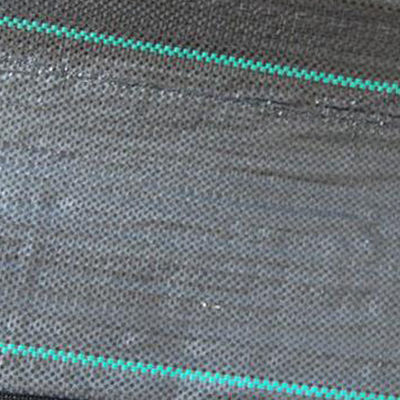 Matting industrial ajardinando largo 3x 50 da erva daninha da categoria de 3m para o jardim vegetal