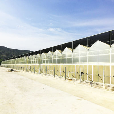 90 de agro por cento rede tratada uv da máscara para o vegetal da agricultura