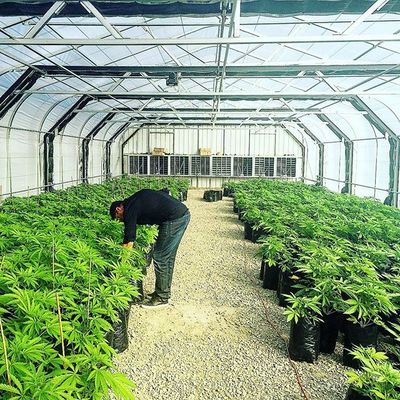 Rede plástica da máscara de Agri do pátio exterior de 60% para o jardim vegetal