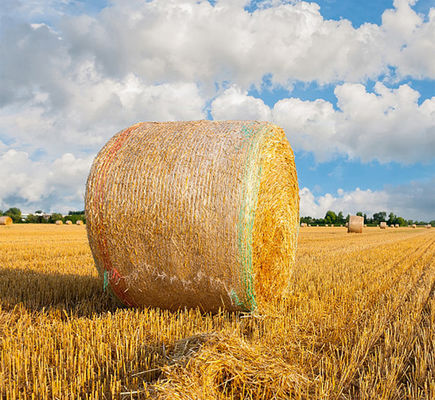 UV do plástico do envoltório da rede do pacote 8.33GSM anti com linha de advertência